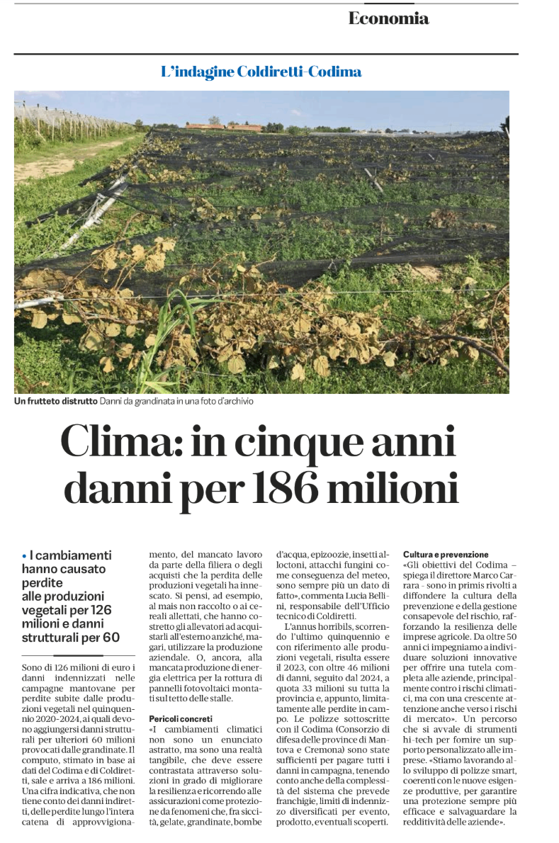 Agricoltura Sotto Attacco dal Clima 🌪️🥦: 186 Milioni di Danni in 5 Anni