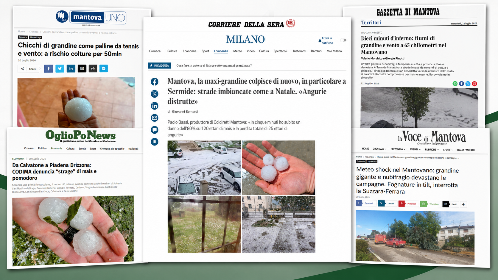 📰 GRANDINATE NEL MANTOVANO E CREMONESE: I DANNI ALL’AGRICOLTURA SULLA STAMPA NAZIONALE E LOCALE