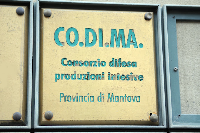 codima