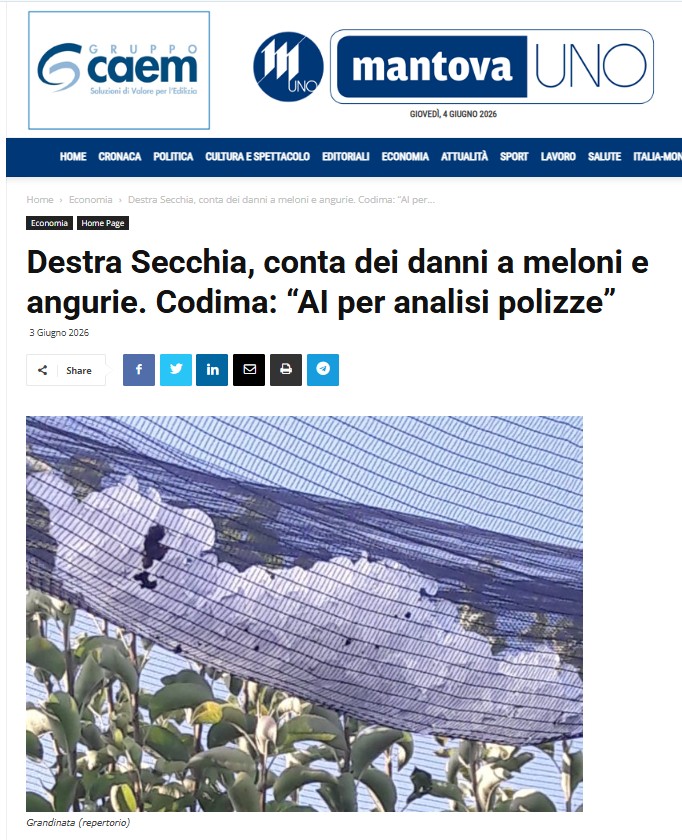 🌩️🌱 Maltempo nel Destra Secchia: danni a meloni e angurie, ancora danni nel mantovano